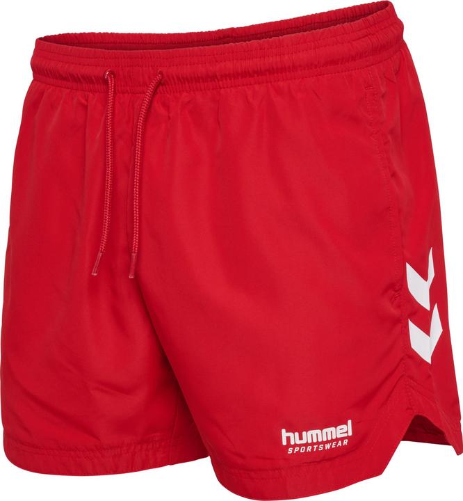 Image du produit hummel hmlLGC NED SWIM SHORTS (S)