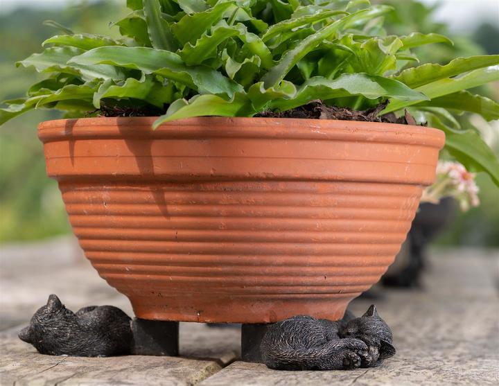 Immagine prodotto Jardinopia Piedi di vaso per piante Piedi di vasino per gatti addormentati, set da 3