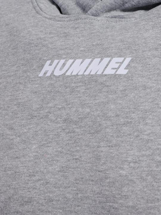 Image du produit hummel hmlELEMENTAL HOODIE (XL)