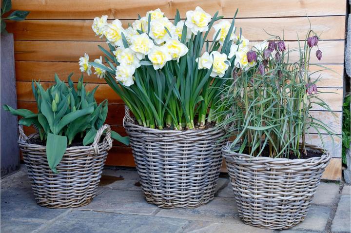 Produktbild Jaco Pflanzentopf Rattan Korb rund (50 cm)