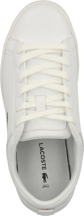 Image du produit Lacoste Sneaker (38)