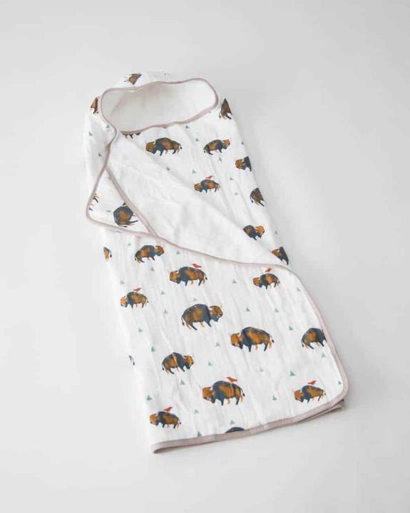 Bison