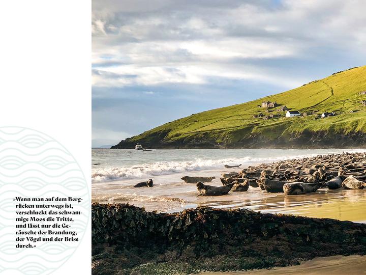 Produktbild Soul Places Irland – Die Seele Irlands spüren (Deutsch, Sandra Böttcher, 2024)
