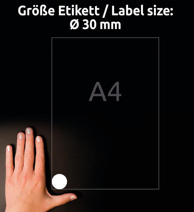 Image du produit Avery Étiquettes résistantes aux intempéries