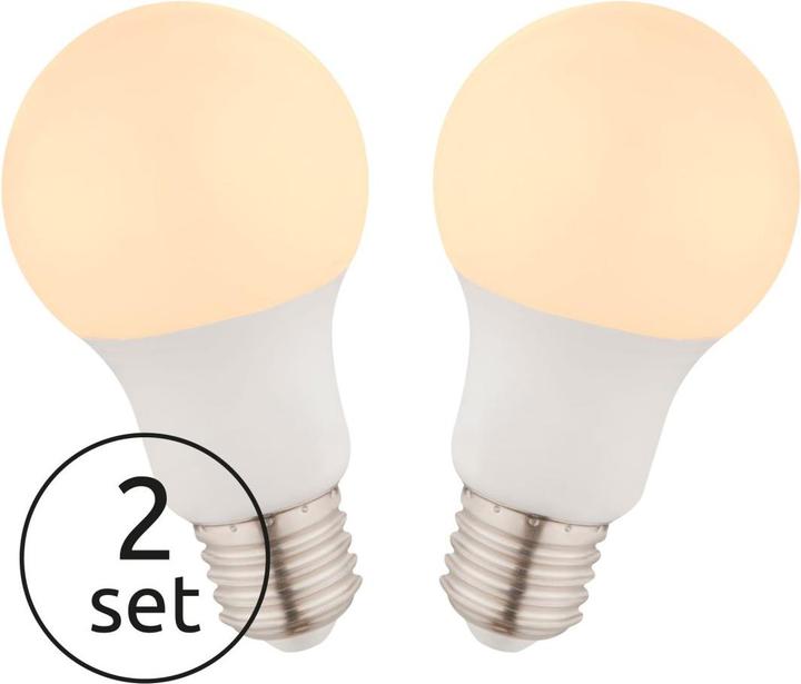 Immagine prodotto Globo Illuminante LED in alluminio 2xE27 LED (E27, 9 W, 810 lm, 2 x, F)