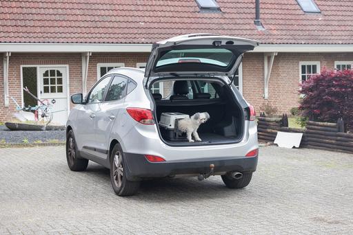 Actual product image Karlie Transport box Nomad Top Loader (Cat, Dog, Lockable)