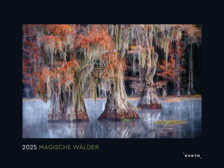Produktbild Magische Wälder - Wandkalender 2025 (Harter Einband, Deutsch)