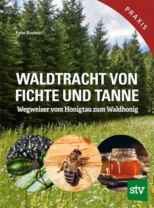 Actual product image Buchner:Waldtracht von Fichte und Tanne (German, Peter Buchner, 2024)