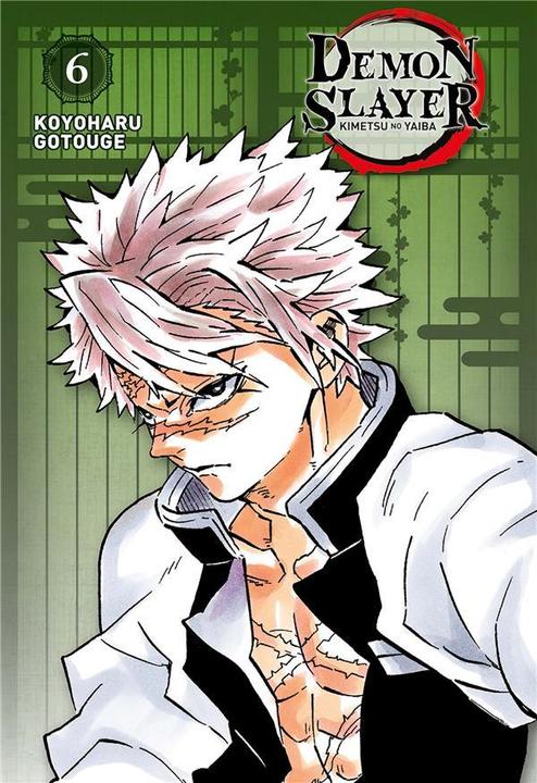 Immagine prodotto NoName DEMON SLAYER - Tome 6 - Edition Pilier (Francese, Gotouge Koyoharu, 2024)