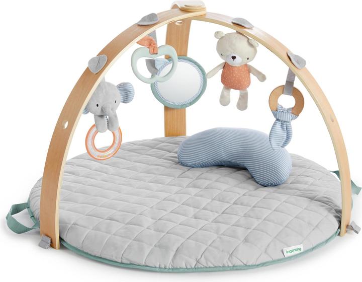 Ingenuity Reversible duvet activity gym