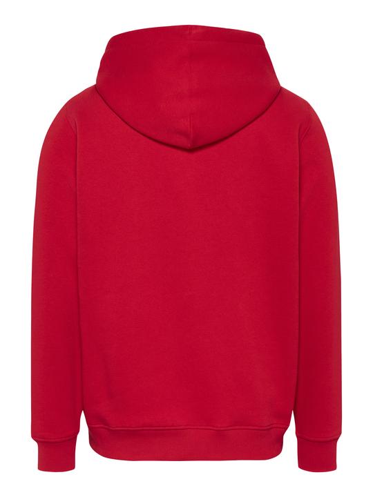 Produktbild Tommy Jeans Tjm Reg Linear Logo Hoodie Ext (XL)