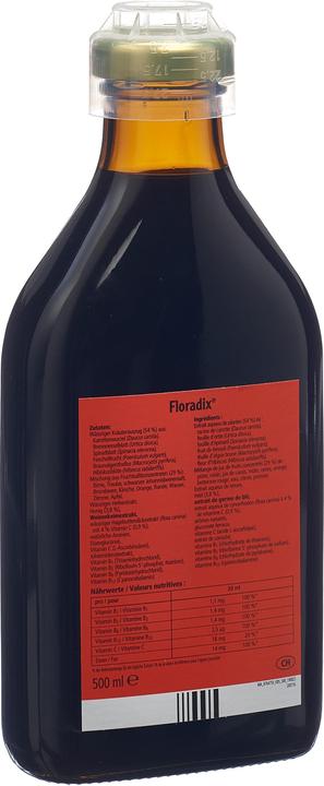 Actual product image Floradix Iron (1 Piece, Liquid, 600 g)