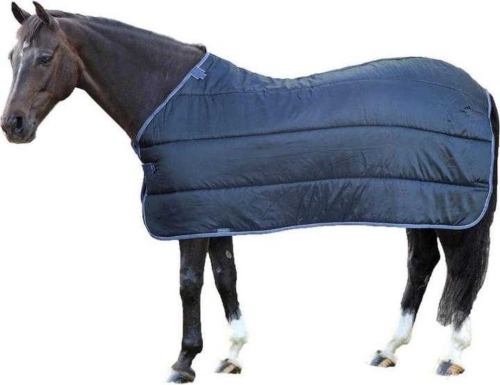 Actual product image Shires WarmaRug Standard horse rug insert (152 cm)