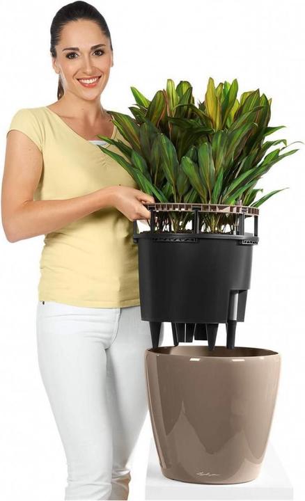Produktbild Lechuza Classico (28.50 cm)