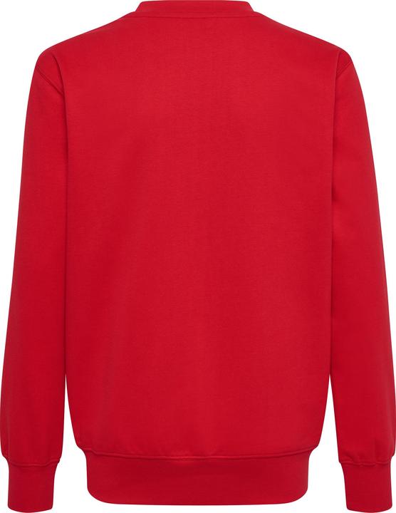Actual product image hummel Hmlgo 2.0 Sweatshirt Kids (128)