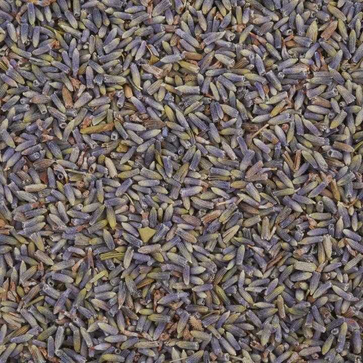 Produktbild VBS Lavendelblüten