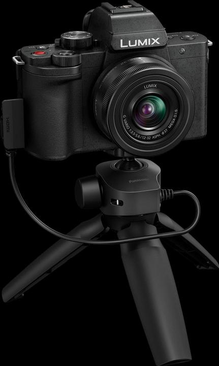 Actual product image Panasonic DMW-SHGR1E Handle for G110