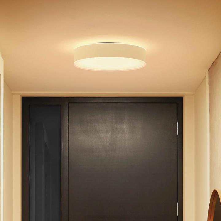 Immagine prodotto Philips Hue White Ambiance Enrave (1200 lm)