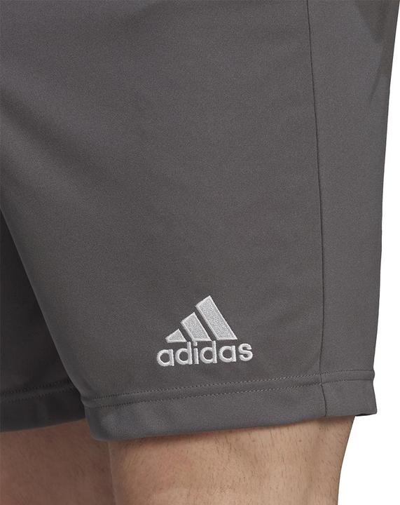 Image du produit adidas Short Entrada 22 Hommes (L)