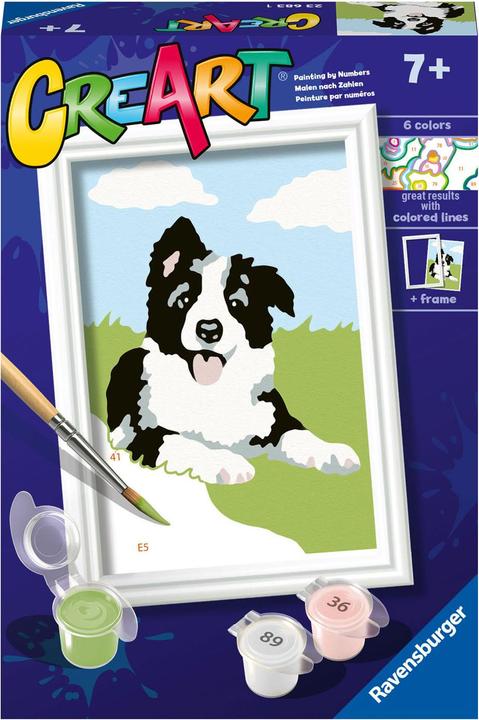 Actual product image Ravensburger Painting by numbers - Border Collie puppy