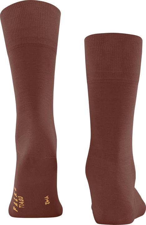 Actual product image Falke Tiago Men (39 - 40)
