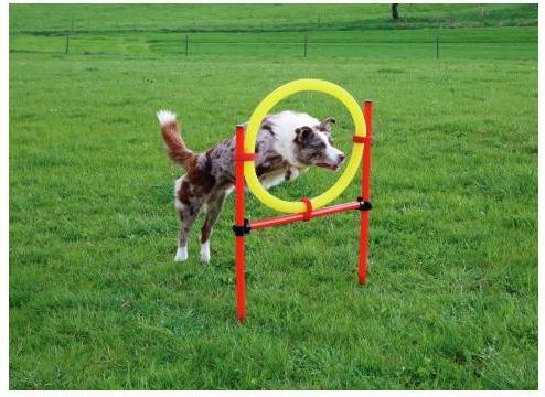 Image du produit Kerbl Kit complet (Taille unique, Agility)