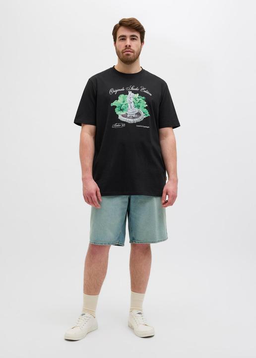 Produktbild Jack & Jones Plus Size T-shirt T-shirt (3XL)