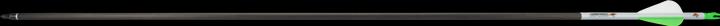 Skylon Archery 30" Carbon Fastwing Strong 100er-Pack