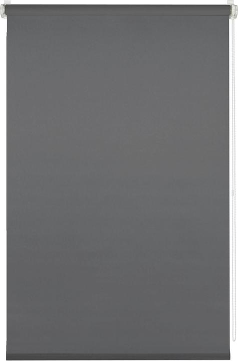 Immagine prodotto Deco Company Tenda a rullo Uni (70 x 150 cm)