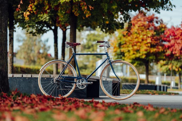 Immagine prodotto Siech Cycles 8Speed Comfort (58 cm)