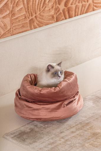 Image du produit Designed by Lotte Fluco (Chat)
