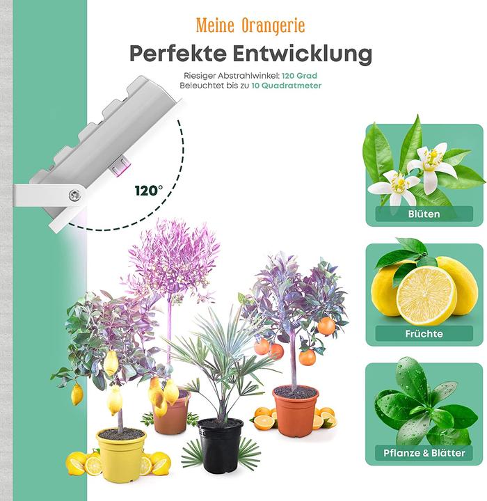 Immagine prodotto Meine Orangerie 35,0 Watt (LED, 230 V)
