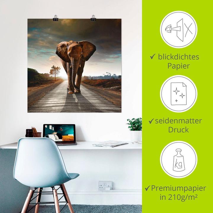 Image du produit Artland Un éléphant marche dans la rue T9QO (100 x 100 cm)
