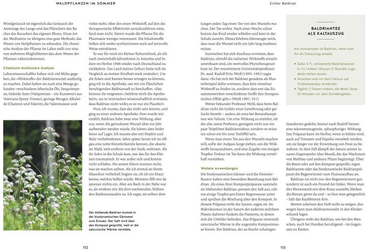 Productafbeelding Meine Kräuter des Waldes (Duits, Wolf-Dieter Storl, 2022)