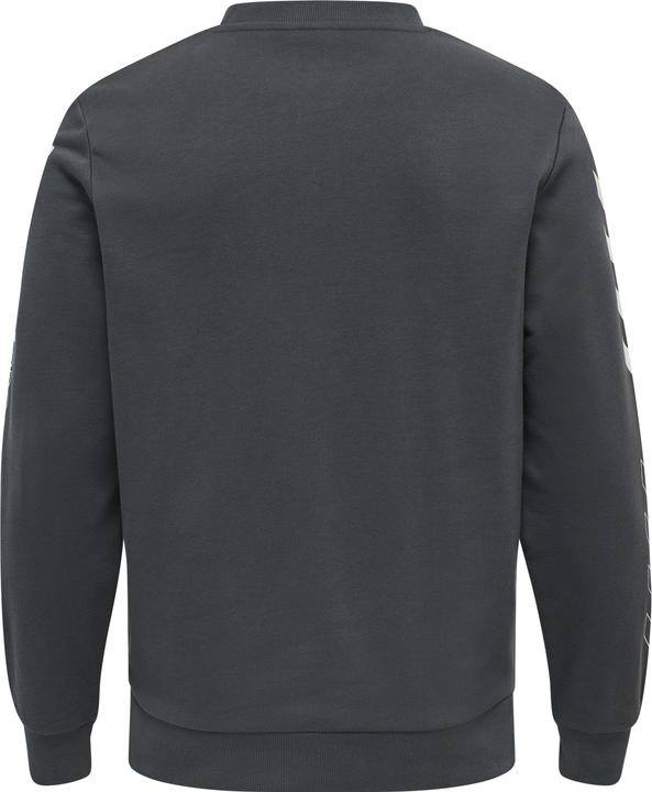Actual product image hummel Lgc Birk Sweatshirt (L)