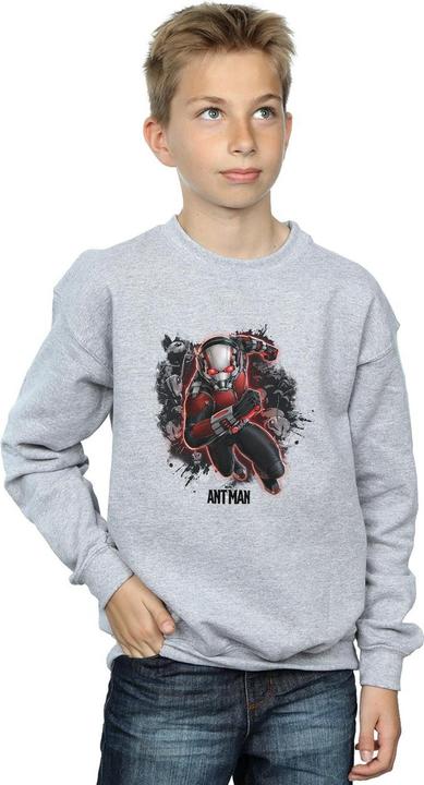 Produktbild Jungen AntMan Ameisen Running Sweatshirt (140, 146)