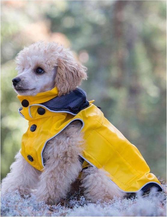 Immagine prodotto Rukka Cani di ruscello (70, Cappotto per cani)