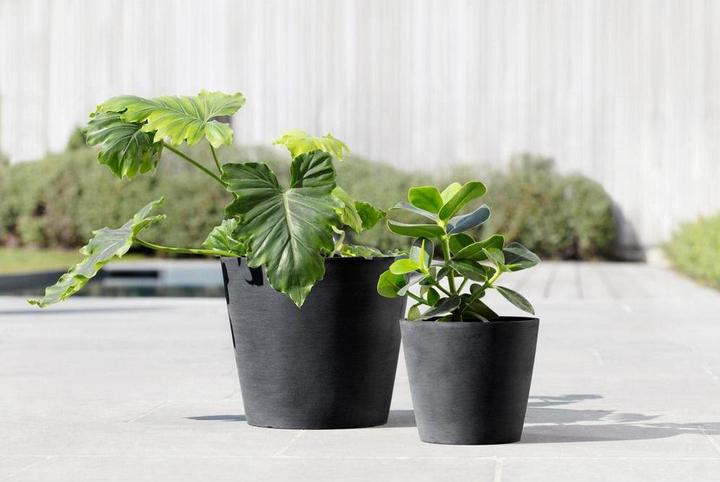 Immagine prodotto Ecopots Amsterdam (20 cm)