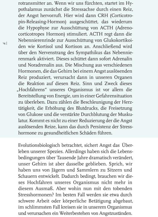 Produktbild Willkommen Angst (Deutsch, Constanze Dennig, 2023)