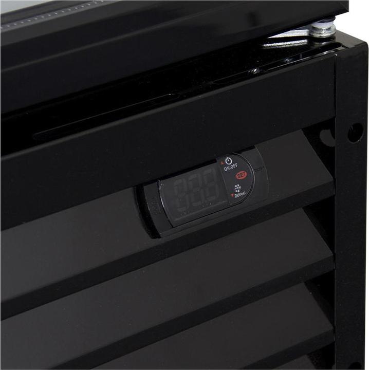 Immagine prodotto Kibernetik Frigorifero per bevande FSP (250 l)