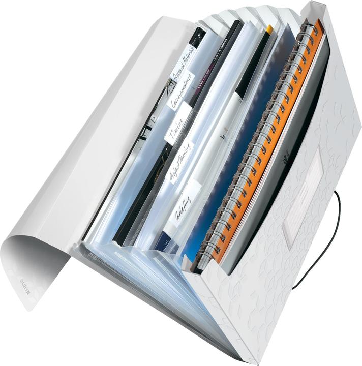 Actual product image Leitz Wow (A4, 1 x)