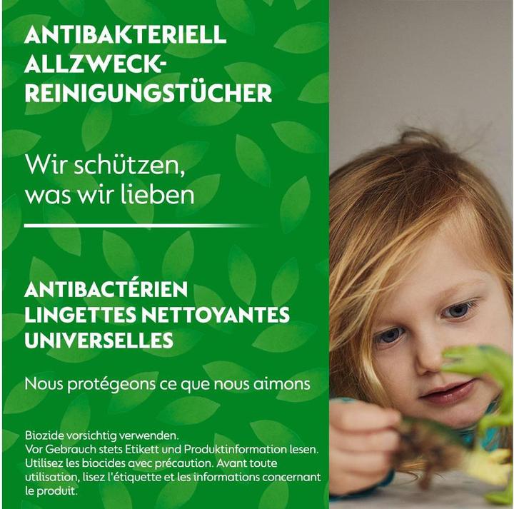 Image du produit Dettol Objectif général