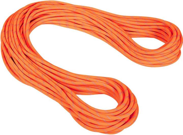 Produktbild Mammut 9.5 Alpine Dry Kletterseil (50 m)