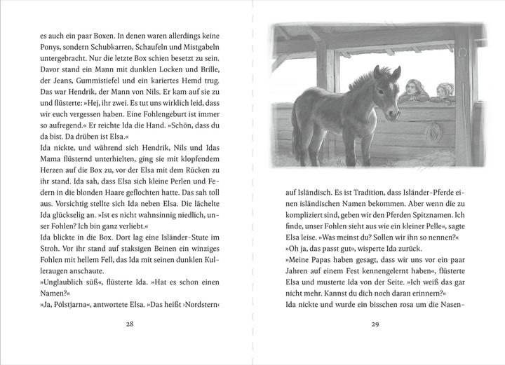 Image du produit Die Ponys von Lillasund 1. Ida und das Ponyglück (Allemand, Kathrin Lena Orso, Tobias Goldschalt, 2025)