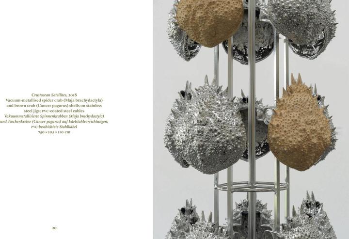 Actual product image Alice Channer (German, English, Stefanie Gschwend/ Art Museum/ Art Gallery Appenzell, Alice Channer, 2023)