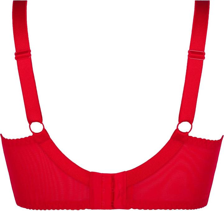 Produktbild Axami V-8741PS Plus Size bra (95 D)