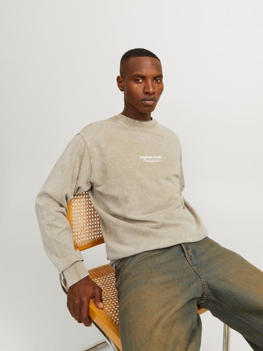 Actual product image Jack & Jones Printed sweatshirt with round neck Sweatshirt with round neck (XS)