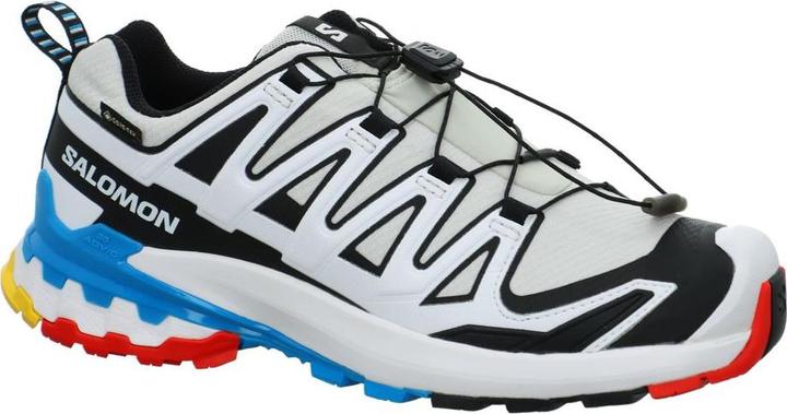Salomon Outdoor shoe XA PRO 3D V9 GTX W Luna