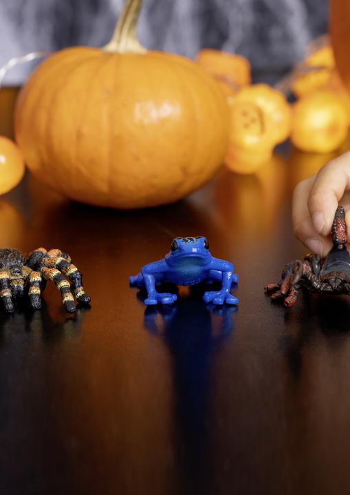 Image du produit Schleich Pandinus imperator