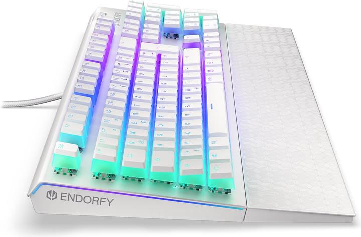 Produktbild Endorfy Keyboard Omnis (DE, Kabelgebunden)
